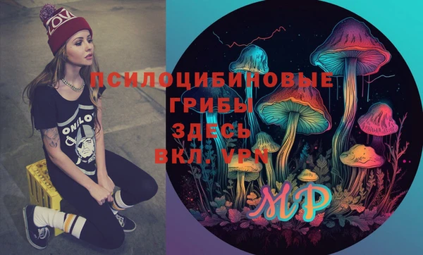 крисы Корсаков