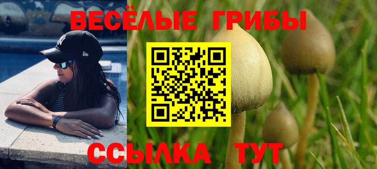 Псилоцибиновые грибы MAGIC MUSHROOMS Когалым